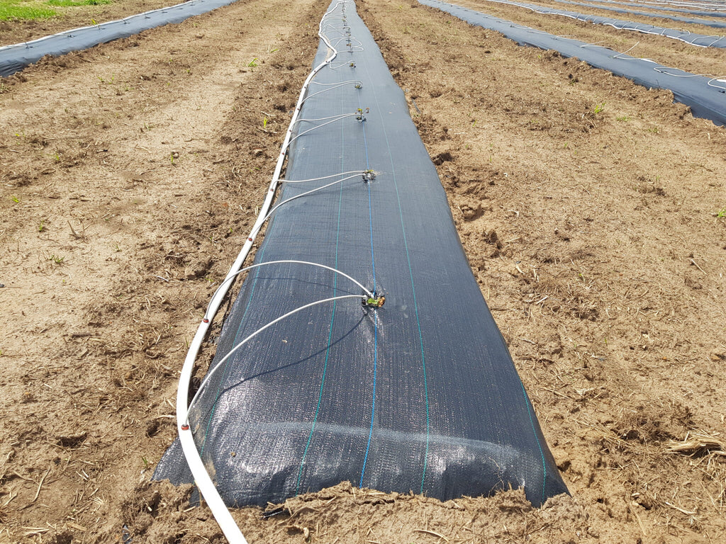 Weedmat Woven 3.66m x 50m